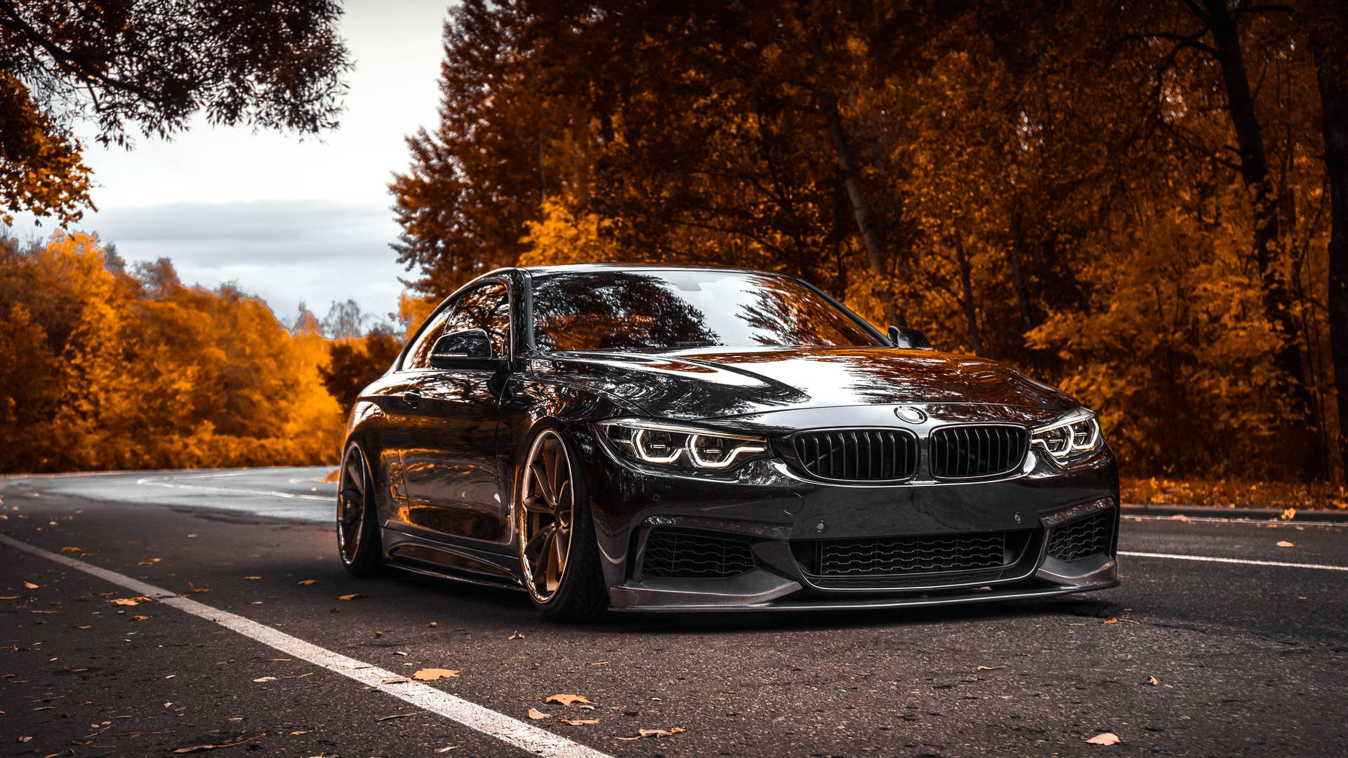 Unveiling the Legend: BMW – Beyond the Ultimate Driving Machine